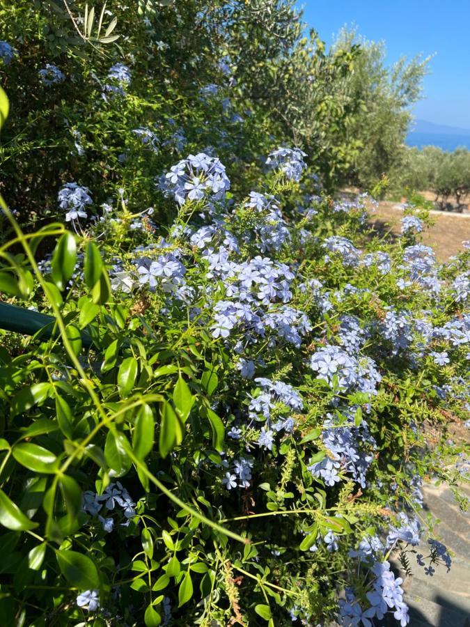 Villa Pefnos Ágios Nikolaos Exterior foto